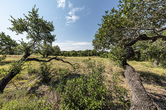 34711DeeannaValleyTrail-260802-1100-20424