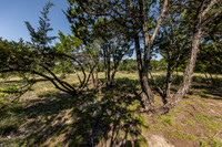 34711DeeannaValleyTrail-260802-1101-20433