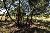 34711DeeannaValleyTrail-260802-1101-20426