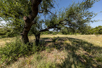 34711DeeannaValleyTrail-260802-1102-20435