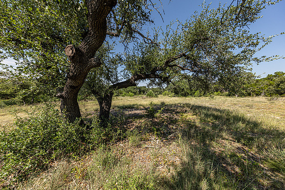 34711DeeannaValleyTrail-260802-1102-20435