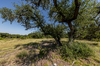 34711DeeannaValleyTrail-260802-1102-20440