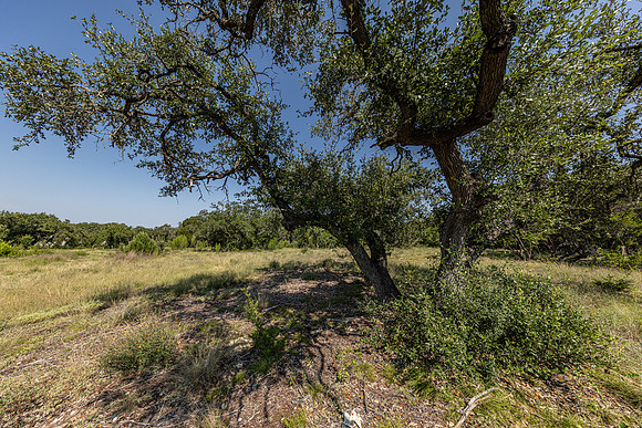 34711DeeannaValleyTrail-260802-1102-20440