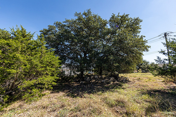 Lot449CalvinBarrett -261020-1400-21303