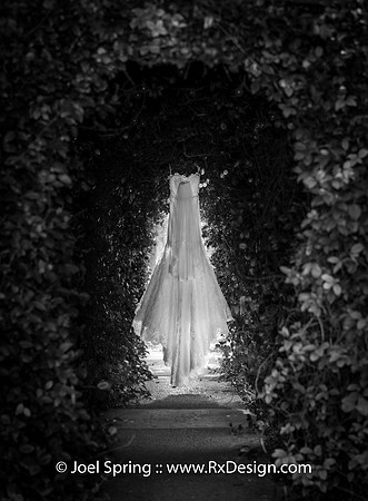 JS1_8676-Edit-Edit