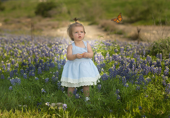 Stripling-200326-1612-7691-Edit-Edit-2