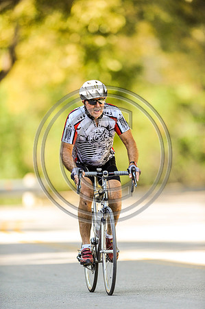 TdGITT-141108-1423-5235L