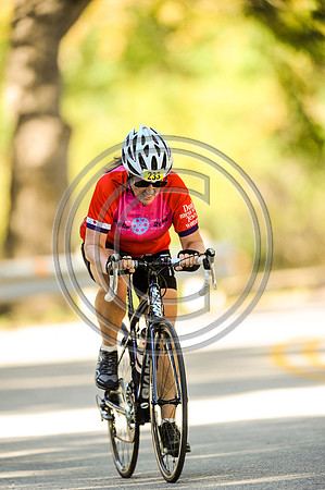 TdGITT-141108-1427-5301L