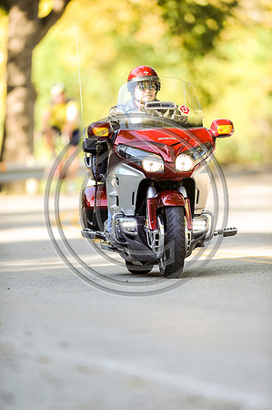 TdGITT-141108-1423-5240L