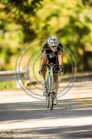 TdGITT-141108-1429-5339L