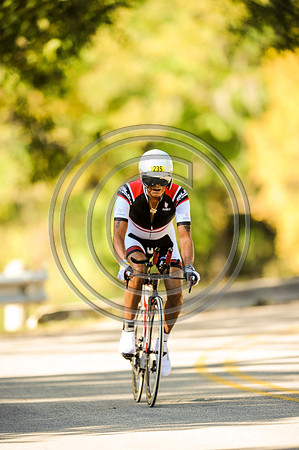 TdGITT-141108-1428-5311L