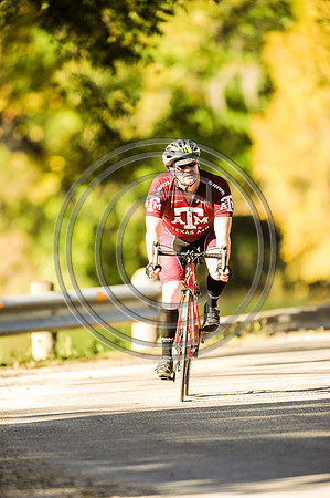 TdGITT-141108-1430-5343L