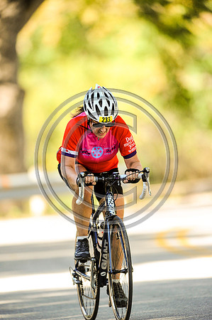 TdGITT-141108-1427-5302L
