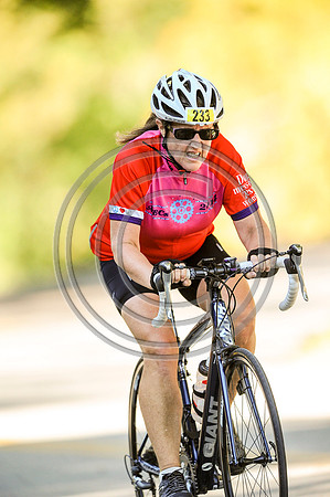 TdGITT-141108-1427-5310L