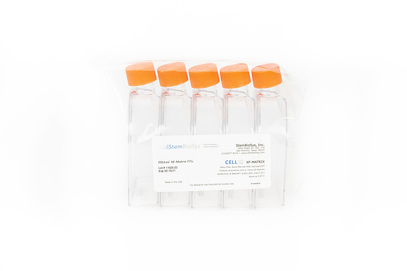 StemBioSys-200625-2132-0106