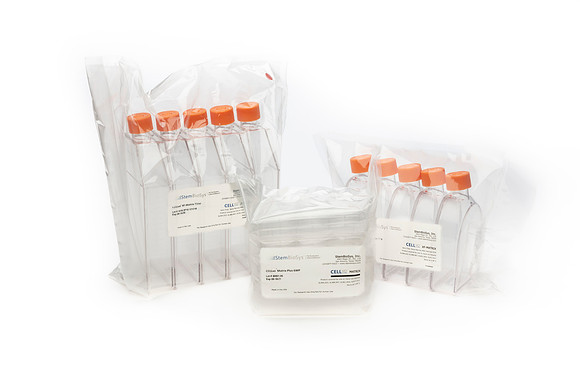StemBioSys-200622-1239-9930