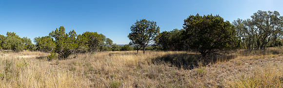 Cordova-221020-1123--4