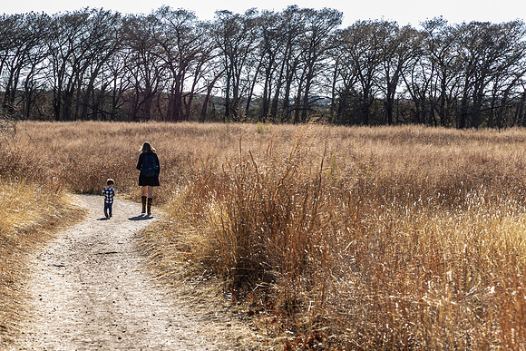 Wetesnik-201226-1558-0109