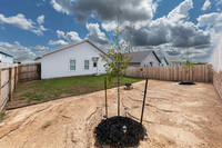 1072ShutterWay-240724-1146-0117