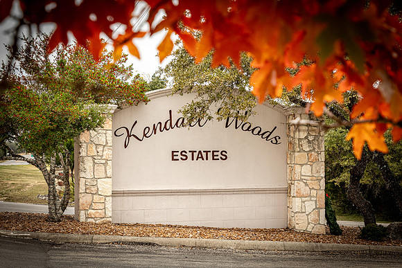 204CountryMeadow-241206-1312-0267