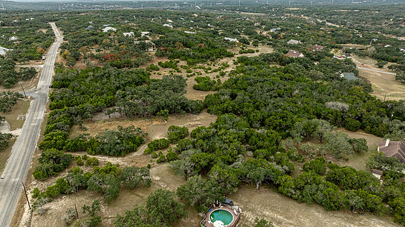 204CountryMeadow-241206-1404-0897