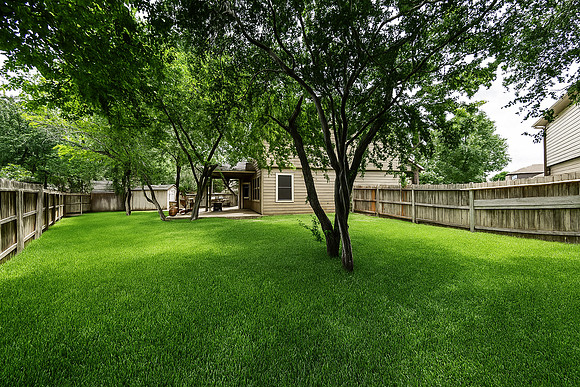 4431Hogg-250707 09_20_07 PM