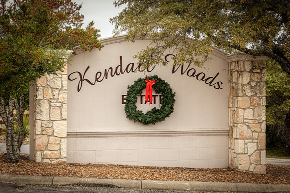 204CountryMeadow-241206-1311-0262