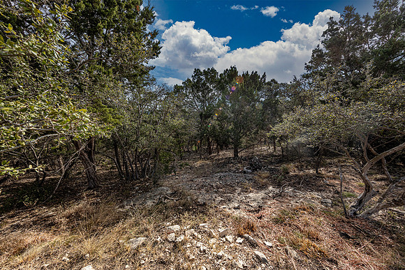 2472RiverWay-241026-1000-0084-Edit
