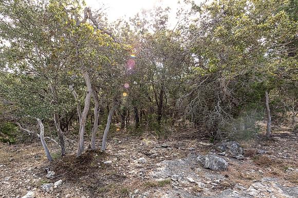 2472RiverWay-241026-0959-0077