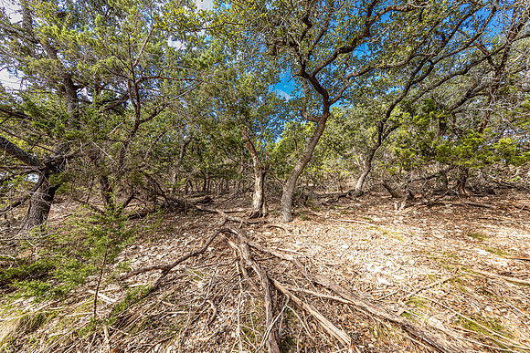 2472RiverWay-241026-1006-0089