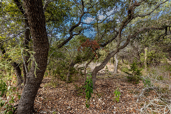 2472RiverWay-241026-1011-0113