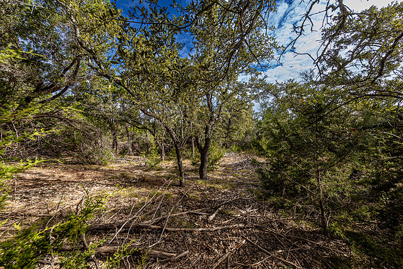 2472RiverWay-241026-1007-0093