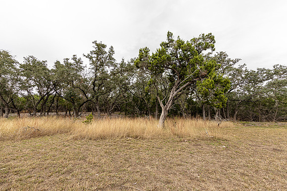 204CountryMeadow-241206-1333-0268