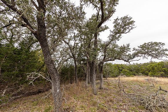 204CountryMeadow-241206-1334-0274