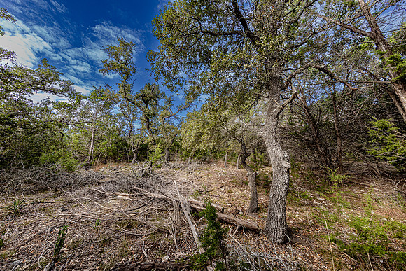 2472RiverWay-241026-1010-0111